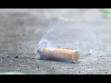 ¡Ellos ya descubrieron qué hacer con las colillas de cigarro! | Noticias con Francisco Zea