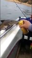 Ce poisson boit une bière à la canette au bord d'un bateau !