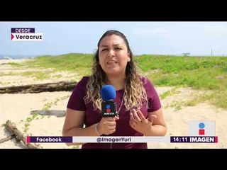 Realizan fiesta en zona donde tortugas dejaban sus huevos | Noticias con Yuriria