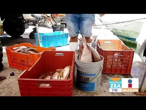 Por qué siempre en septiembre hay huracanes en Yucatán | Noticias con Francisco Zea