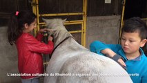 Les enfants du Rhumont s'essayent à l'équitation