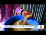 El amaranto ya va a la canasta básica de México | Noticias con Francisco Zea