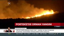 Portekiz'de orman yangını