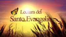 Evangelio de Hoy Domingo 7 Octubre 2018 Por vuestra terquedad