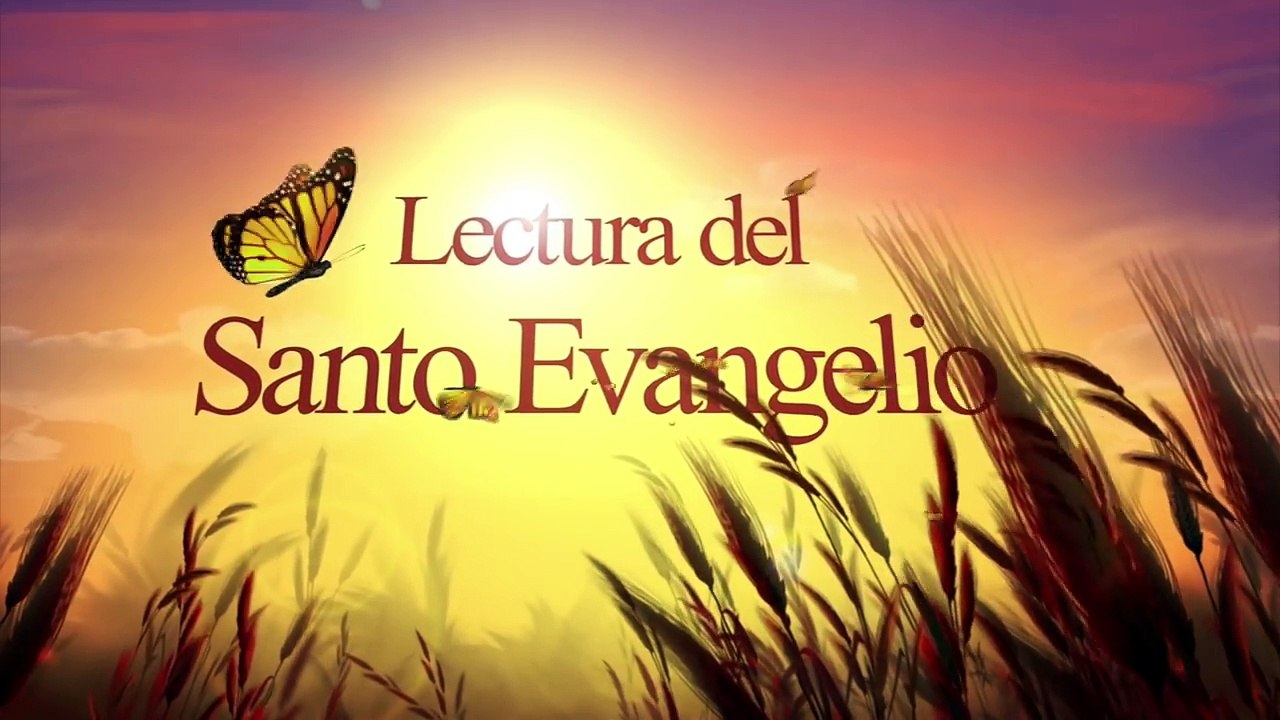 Evangelio de Hoy Domingo 7 Octubre 2018 Por vuestra terquedad