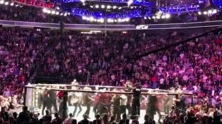 UFC 229 McGregor Khabib SCARY BRAWL, ALL ANGLES Crowd/Octagon