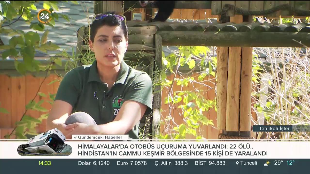 Tehlikeli İşler