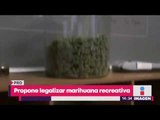 PRD propone legalizar la marihuana recreativa | Noticias con Yuriria