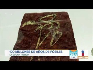 ¡Conoce el increíble Museo Regional Mixteco-Tlayúa en Puebla! | Noticias con Francisco Zea