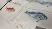 L’art du gyotaku avec l’artiste Marc Porrini