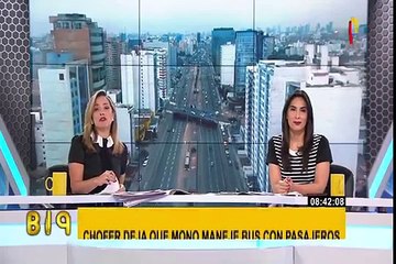 India: un mono fue captado manejando autobús ante la atónita mirada de los pasajeros