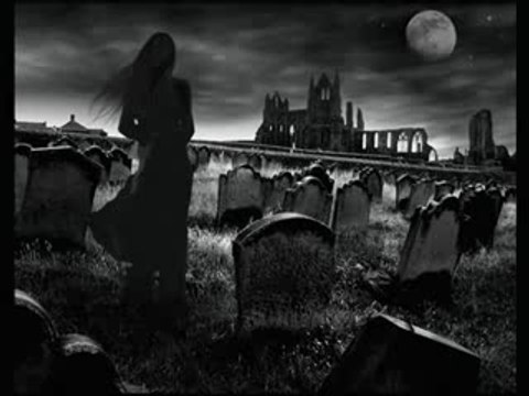 ThE DarKnEsS aLwAyS ComE(Sonata Artica - Shy)