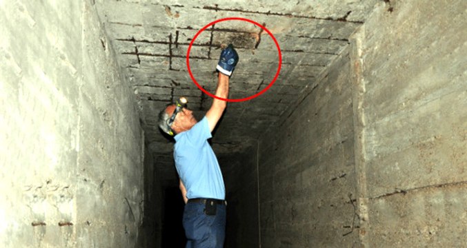 Dolandırıcılar, ''Sağlığa Yararlı'' Deyip Yarasanın İçindeki Sıvıyı 500 Bin TL'ye Kadar Satıyorlar