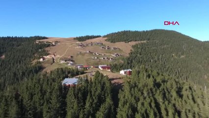 Rize Pokut, Yaz Döneminde En Çok Ziyaret Edilen Yaylalardan Oldu