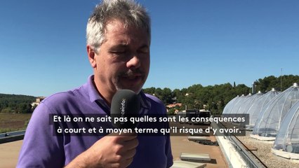 Réchauffement climatique : les analyses d'Écotron