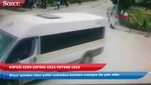 Köpeği ezen şoföre ceza üstüne ceza