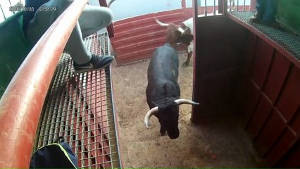 TOROS EN LOS TORILES ENTRERRIOS 2018---PARTE--8