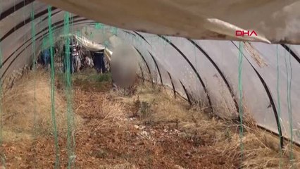Antalya Çilek Serasında Ölü Bulundu