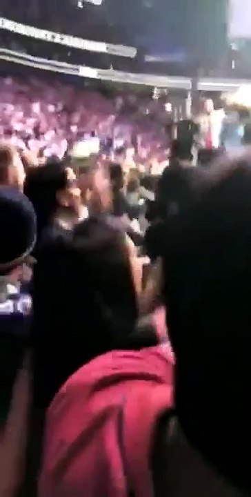 hỗn chiến ở UFC229