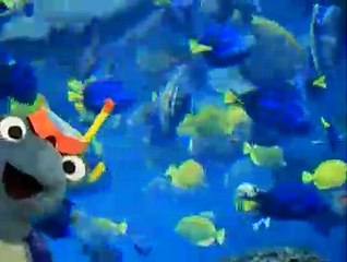 Baby Einstein 02BE BABY NEPTUNE