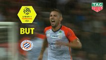 But Andy DELORT (30ème) / EA Guingamp - Montpellier Hérault SC - (1-1) - (EAG-MHSC) / 2018-19