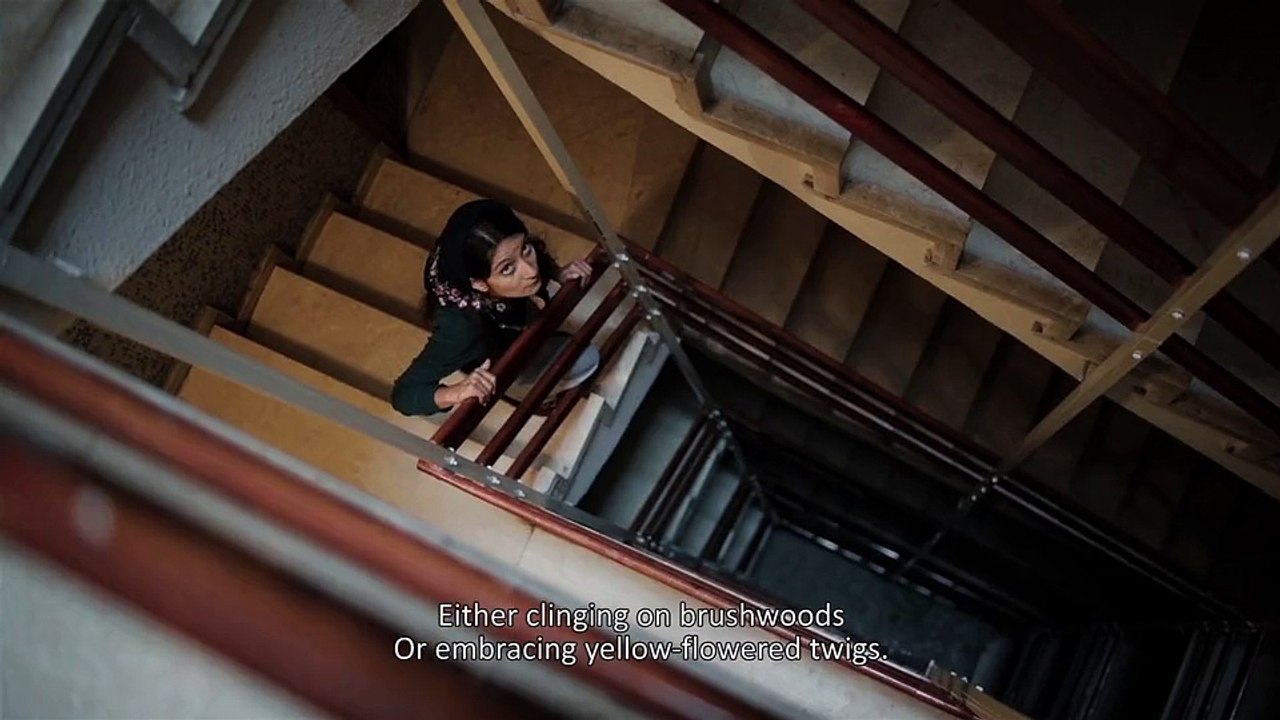 UPPER FLOORS TRAILLER