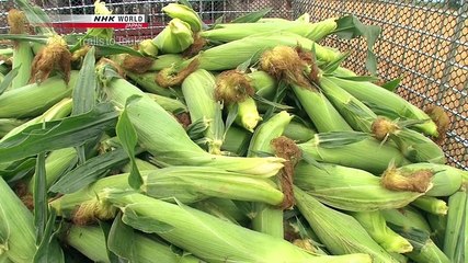 Trails To Tsukiji S04E19 Corn Ebi