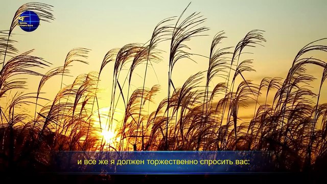 Восточная Молния | Слово Божье «Кому ты на самом деле верен?»