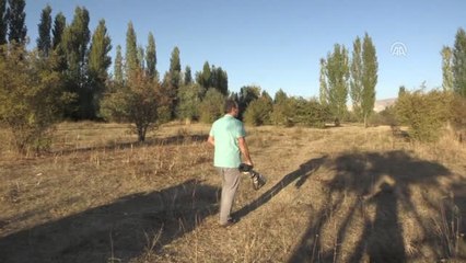 Dünya Kuş Gözlem Günü"