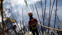 Waldbrand in Naturpark nahe Lissabon