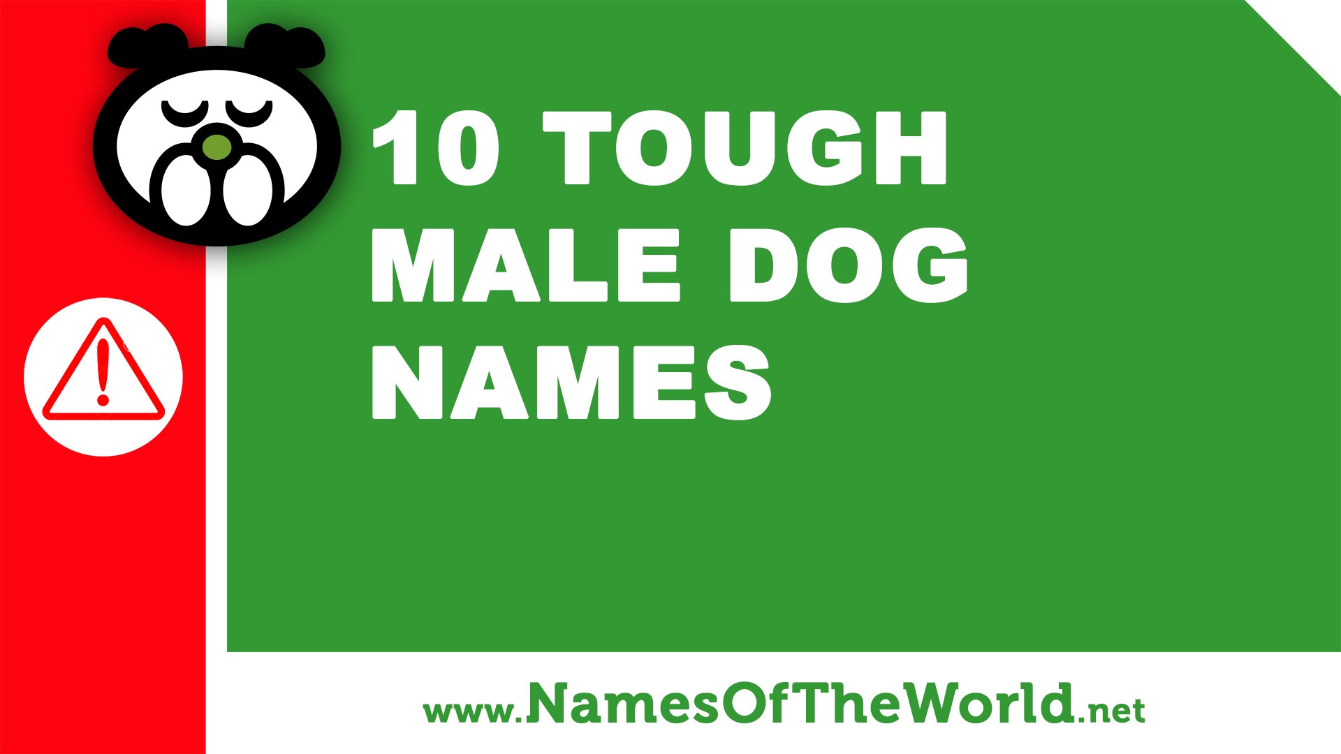 Tough male 2024 dog names