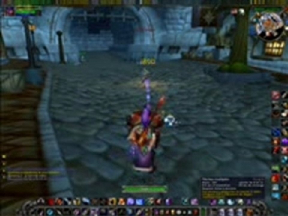 WoW Hunt T6