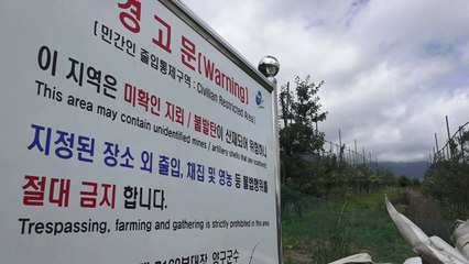 남북 공동 지뢰제거 시작...접경지 지뢰 제거는 언제쯤? / YTN
