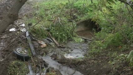 美 뉴욕주 교통사고로 20명 사망 참변 / YTN