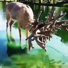 Paradise valley on Earth | islamic knowledge