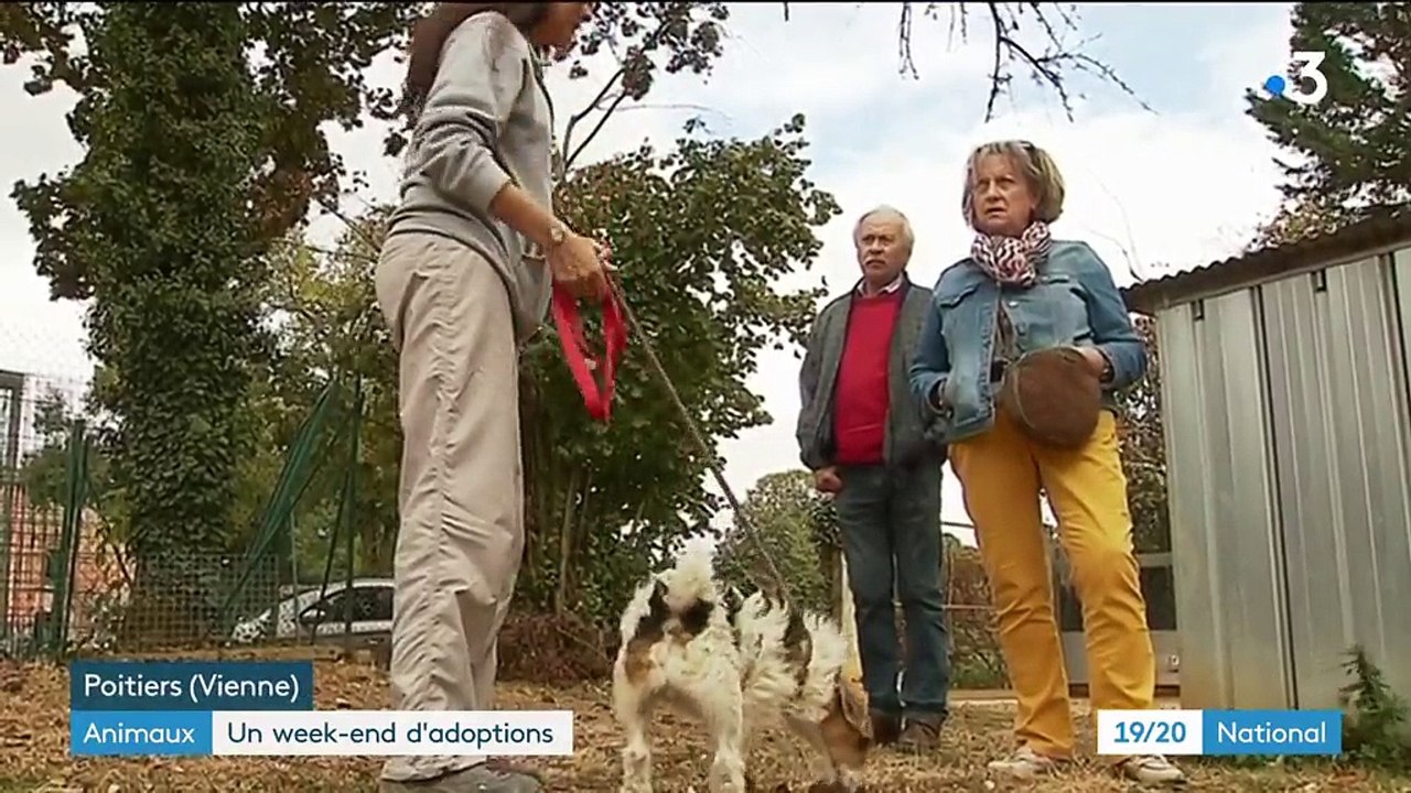 Animaux : la SPA organisait ses portes ouvertes ce week-end