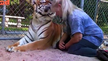 Florida(USA)_Woman_Keeps_Royal_Bengal_Tigers_&_White_Tiger_In_Her_Garden_ads.txt