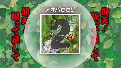 タモリ倶楽部　一寸の虫にも五分の便意 昆虫衝撃映像 DAPPUN!!　2010/11/26