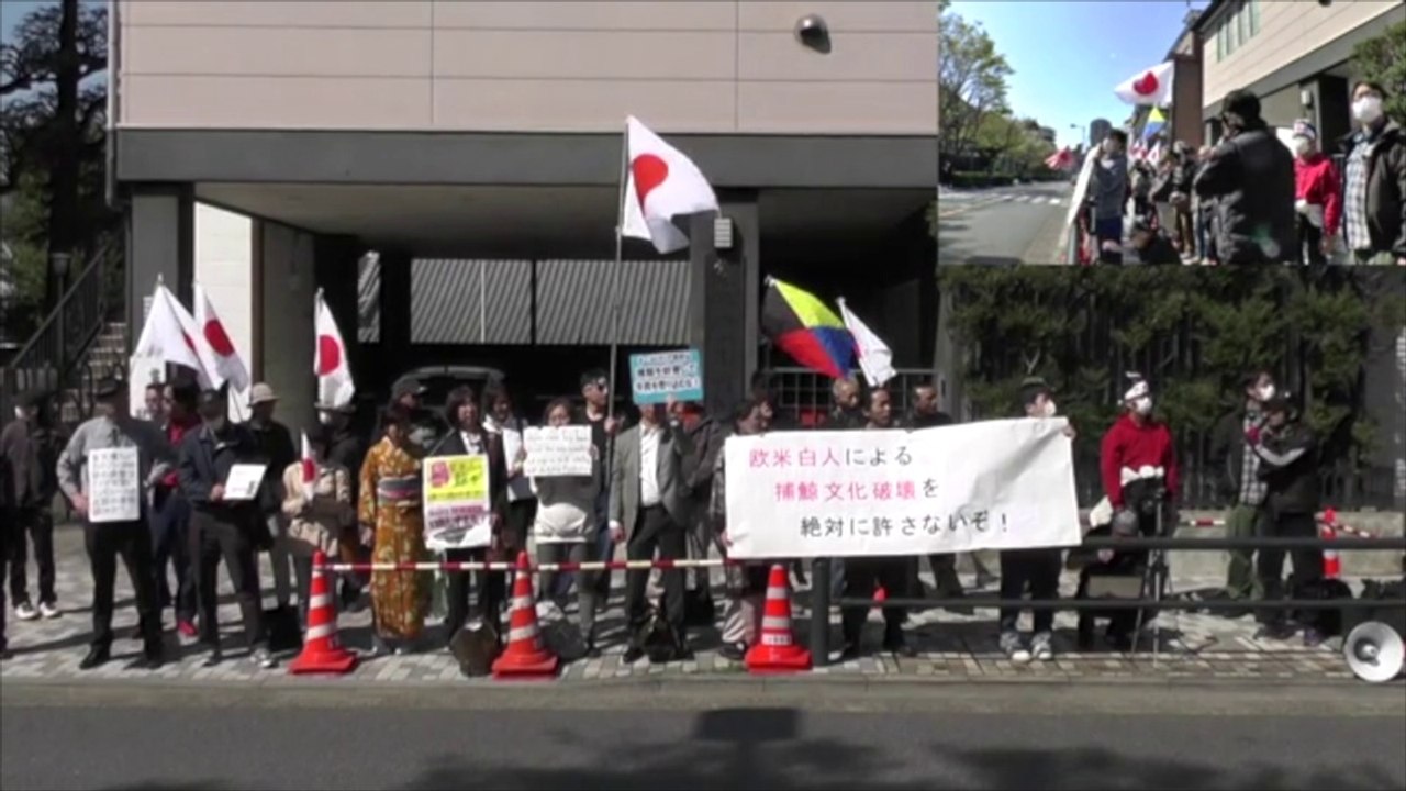 20140407捕鯨文化を破壊する濠州に抗議！