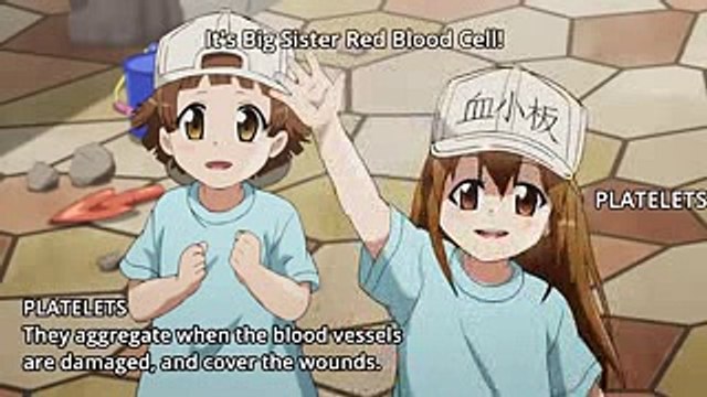 POKING PLATELETS - Hataraku Saibou Cells at Work