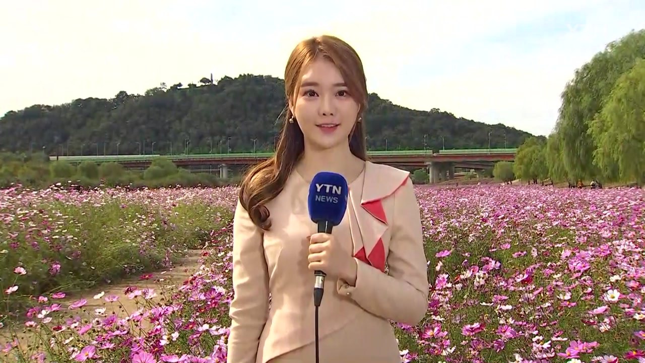 [날씨] 쾌청한 하늘, 공기 깨끗...낮 동안 선선 / YTN