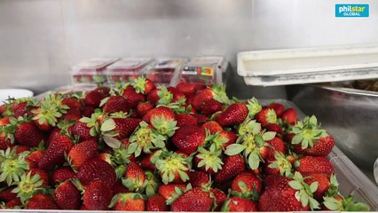 How does it look like to feed more than 5000 people on a cruise ship