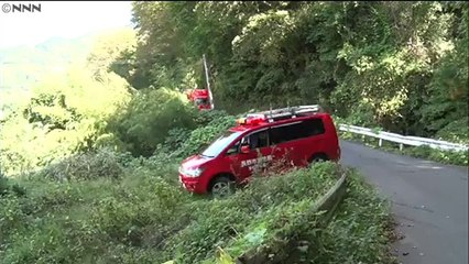 山林で２人ハチに刺され、１人一時意識不明