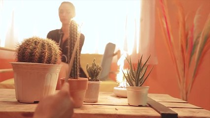 Let Me Feel Your Love Tonight - Tra My Idol - Sáng Tác Touliver - Hậu Trường