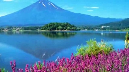 THẾ NÀO LÀ OAN TRÁI VÀ QUẢ BÁO CỦA NGHIỆP SÁT SINH