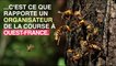 Bretagne : 20 coureurs piqués par des frelons
