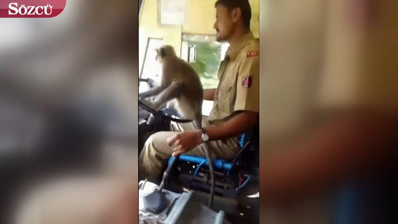 Direksiyon başında inanılmaz görüntü