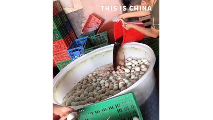 The Method for Producing Century Egg | How Pine-Patterned Egg Is Made