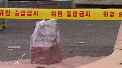 경기도 안산서 붉은불개미 5,900여 마리 발견 / YTN