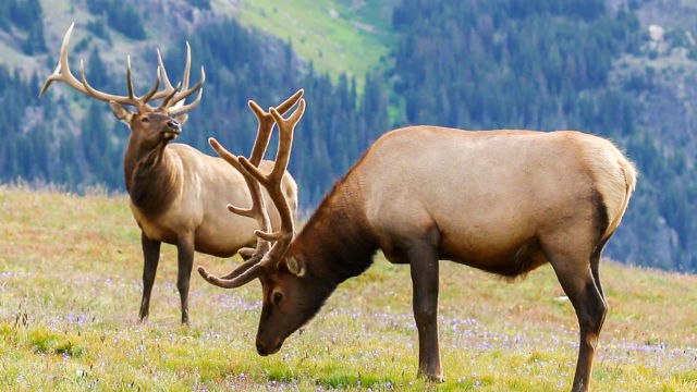 10 Best National Parks to Visit in Fall